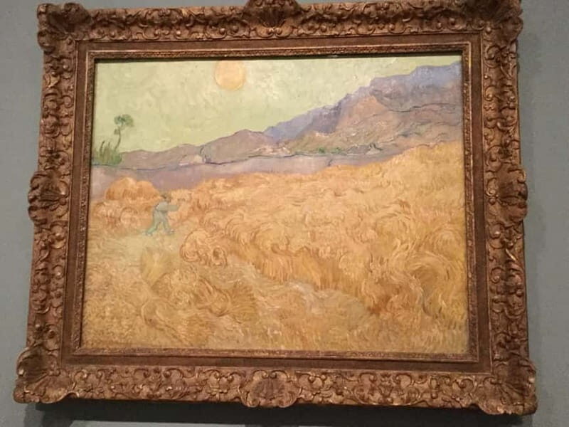 Amsterdam: Van Gogh Museum. Small Group Tour. - Who Should Consider This Tour?