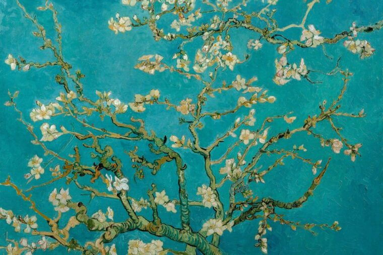 amsterdam-van-gogh-museum-ticket-canal-cruise