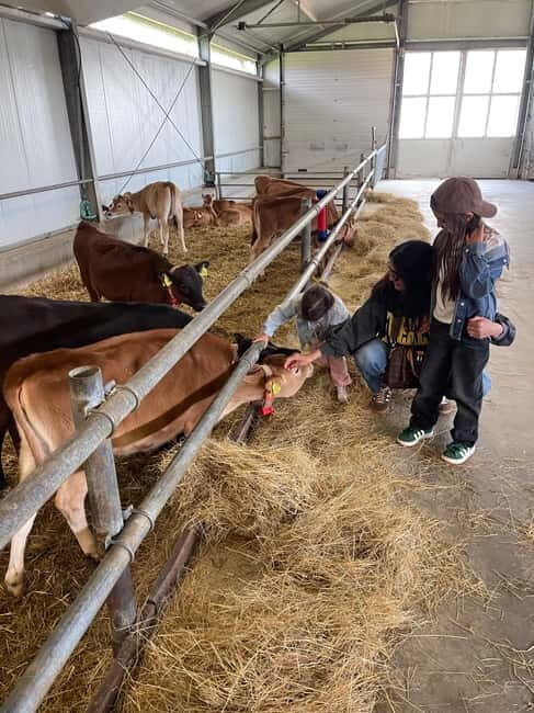 Amsterdam: Villages, Cheese, Windmills,Clogs &county site - FAQ