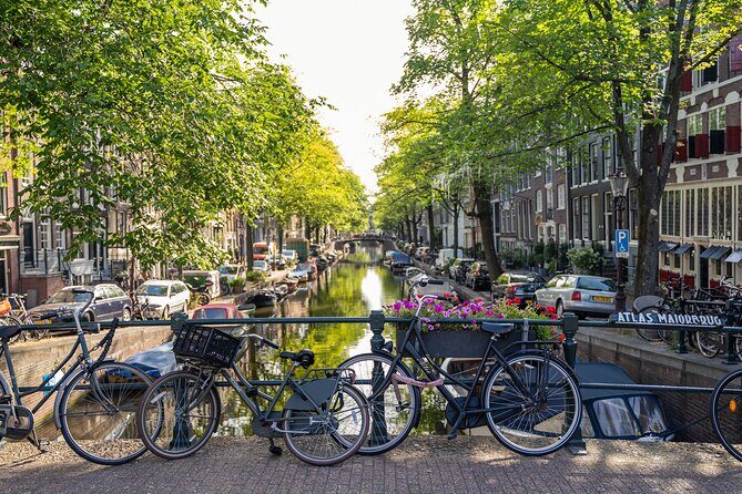 Amsterdam Walking Tour and Cruise with Drinks and Cheese Tasting - Practical Details: What You Should Know