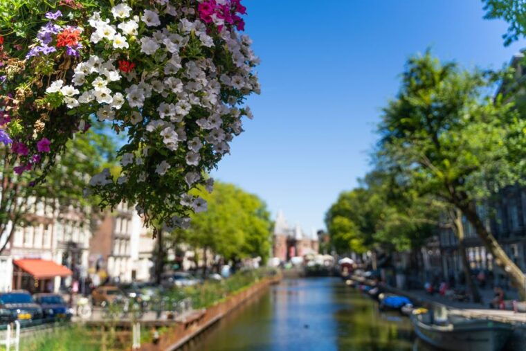 amsterdam-walking-tour-with-cheese-tasting-2