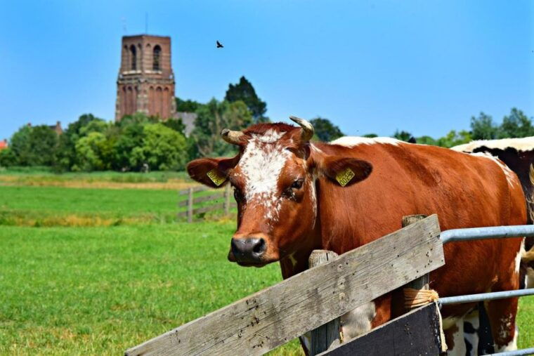 amsterdam-waterland-district-countryside-villages-bike-tour