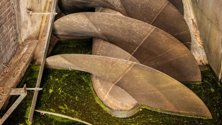 amsterdam-windmill-guided-tour