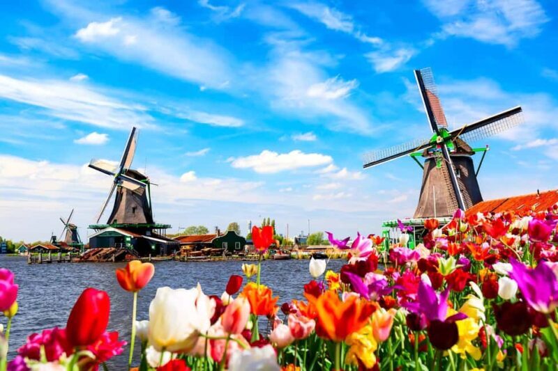 Amsterdam: Zaanse Schans, Cheese Tasting & Volendam Tour - The Sum Up
