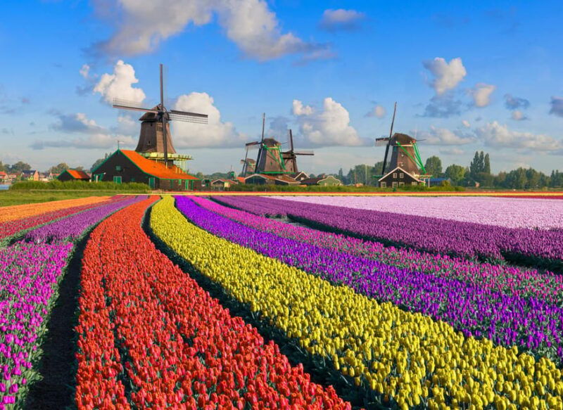 amsterdam-zaanse-schans-the-hague-rotterdam-tour