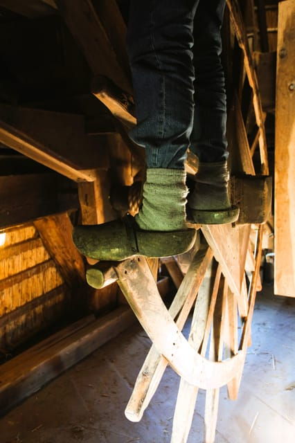 amsterdamprivate-guided-non-touristic-tulip-windmill-tour