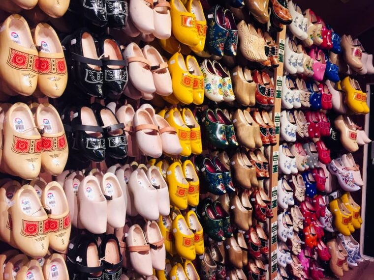 amsterdamprivate-guided-non-touristic-tulip-windmill-tour