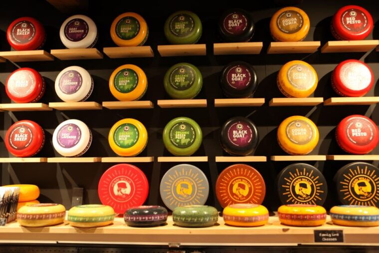 amsterdamprivate-guided-non-touristic-tulip-windmill-tour