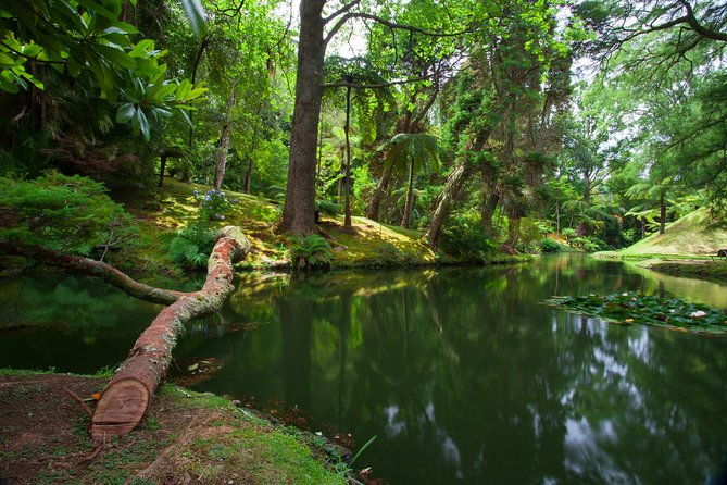 an-adventure-through-the-east-of-sao-miguel-island