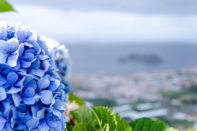 an-adventure-through-the-east-of-sao-miguel-island