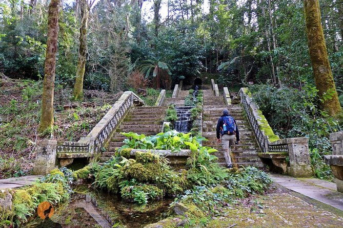 an-adventure-through-the-forest-and-palace-of-bussaco-coimbra