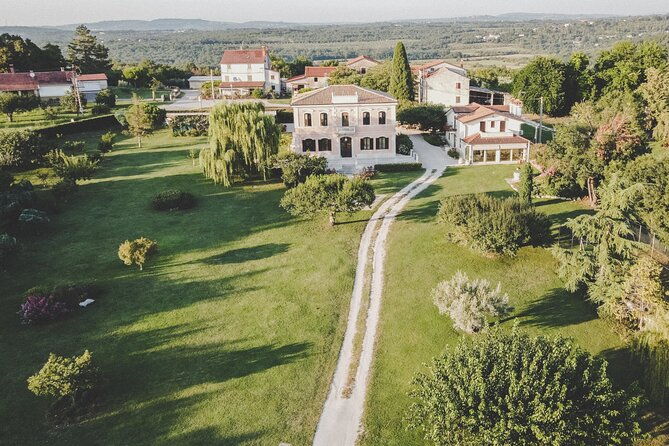 an-authentic-istrian-olive-oil-wine-local-food-experience-near-umag