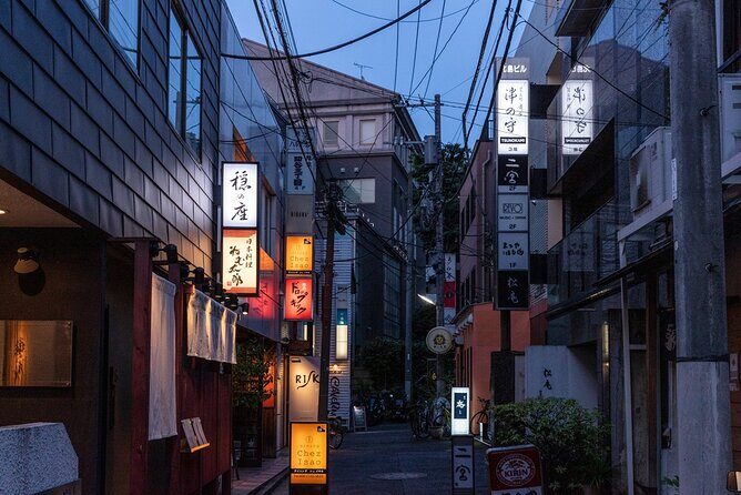 An Enchanted Evening with Geisha  A Rare Experience in Tokyo - What to Expect from the Experience