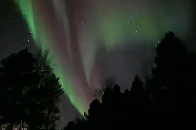 an-evening-in-the-backcountry-northern-lights-on-a-sleighride