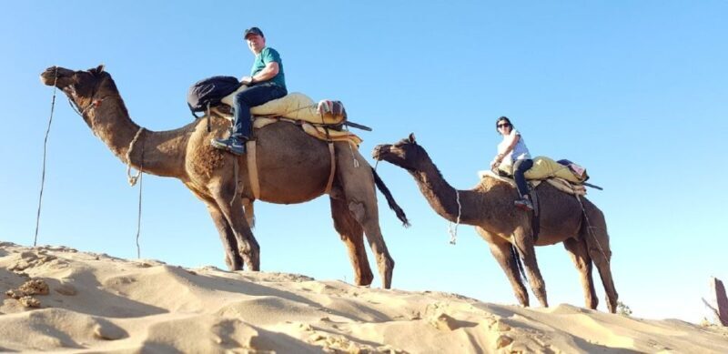 An Unforgettable Camel and Jeep Safari in Osian Villlage - What to Keep in Mind