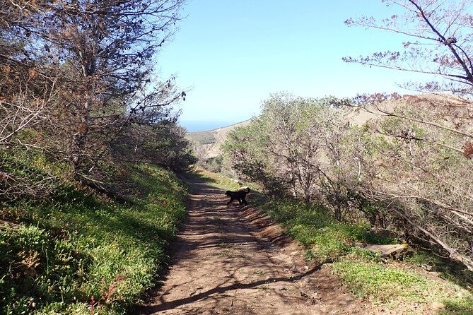 ana-ferreira-caves-peaks-trek