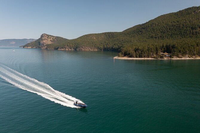 Anacortes Whale Watching Adventure Tour - Zodiac Boat - FAQ