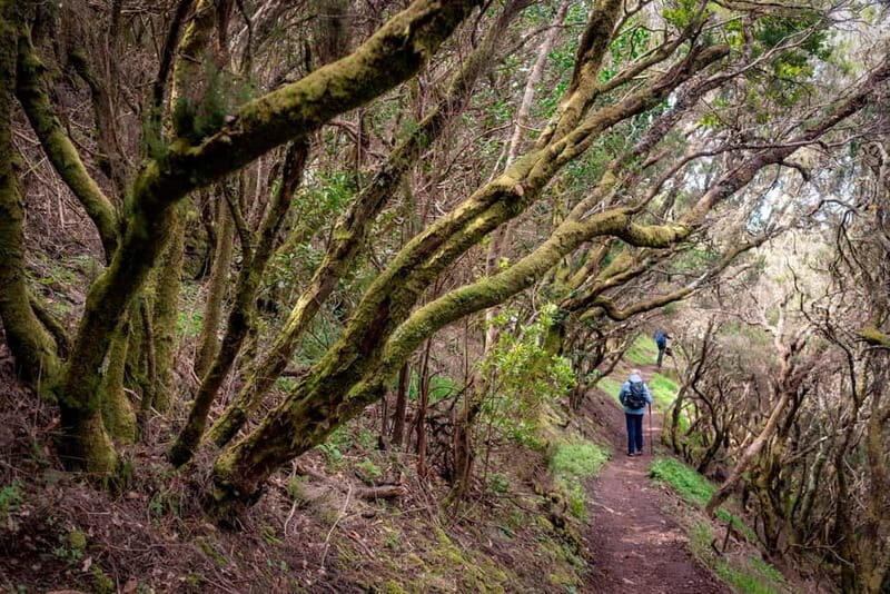 Anaga Mountains Tenerife - Chamorga Guided Hike - Anaga Mountains Tenerife - Chamorga Guided Hike: A Deep Dive into Nature and Local Life