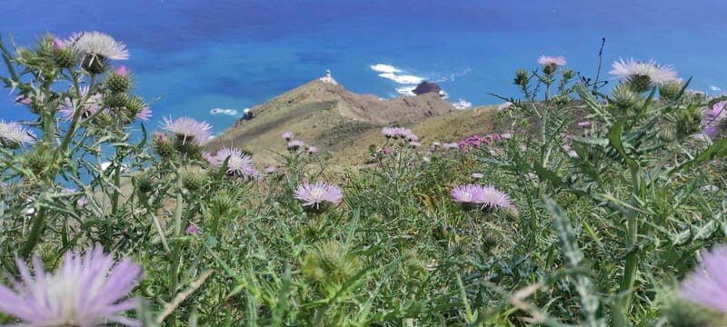 Anaga Mountains Tenerife - Chamorga Guided Hike - Authentic Experiences from Past Participants