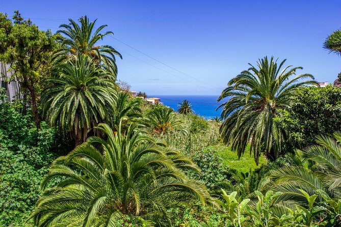 Anaga Private Tour: Valleys of Nature and Tradition - Authentic Experiences Past Travelers Loved