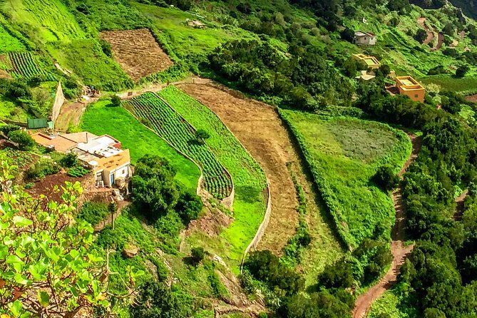 Anaga Private Tour: Valleys of Nature and Tradition - Final Thoughts: Who Will Love This Tour?