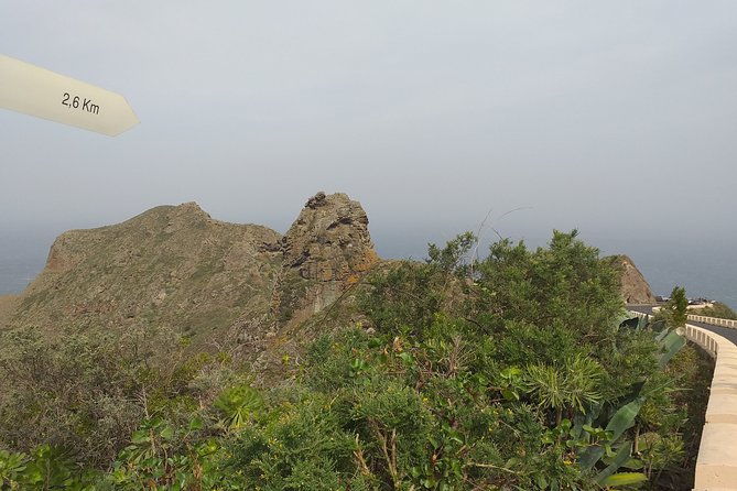 anaga-the-enigmatic-forest