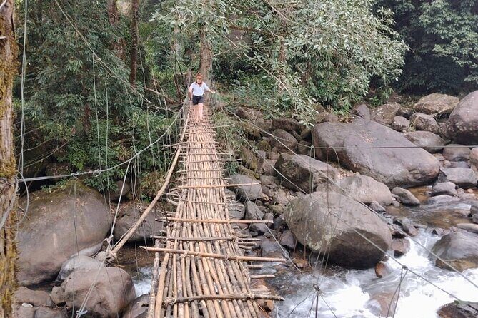 Anakulam Wild elephant Visiting & Tribal village 4*4 Ride - Discovering Munnar’s Hidden Gems: A Deep Dive