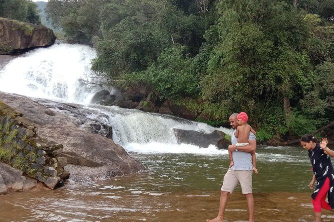 Anakulam Wild elephant Visiting & Tribal village 4*4 Ride - Final Thoughts: Is This Tour Right for You?