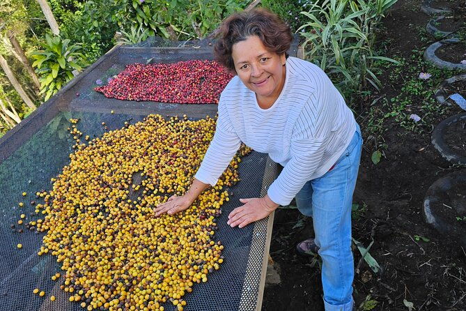 ancestral-coffee-experience-in-boquete