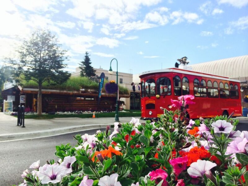 Anchorage: 1-Hour Trolley Tour - FAQ