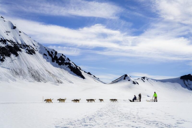 Anchorage Area: Helicopter and Glacier Dogsled Tour - What Makes This Tour Stand Out