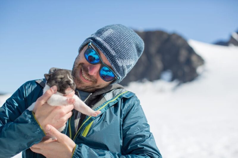 Anchorage Area: Helicopter and Glacier Dogsled Tour - Analyzing the Value