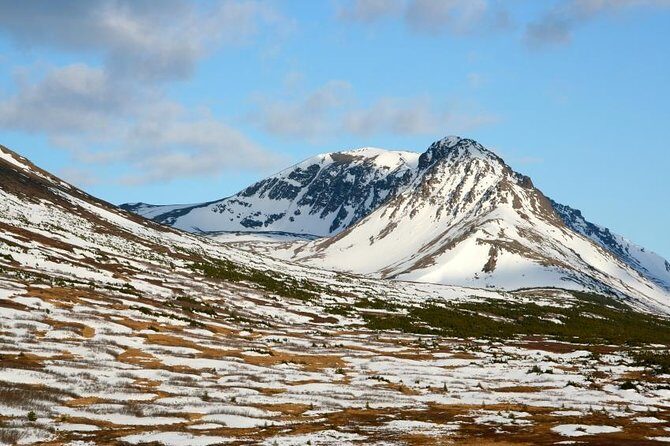 Anchorage Aurora Tour and Northern Lights Photo - Key Points: