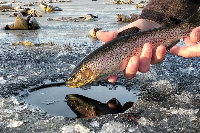 anchorage-ice-fishing-adventure