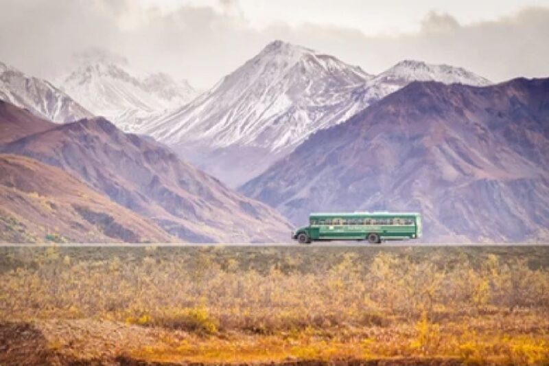 Anchorage: Kenai Fjords & Denali National Park 5 Day Tour - A Complete Look at the Itinerary