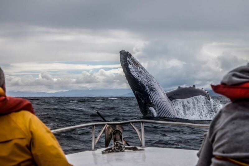 Anchorage: Kenai Fjords & Denali National Park 5 Day Tour - Authentic Experiences and Personal Touches