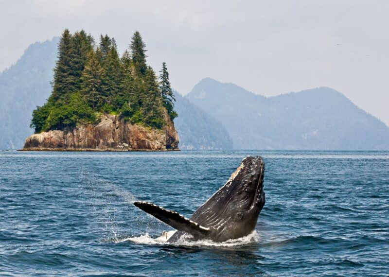 anchorage-kenai-fjords-denali-national-park-5-day-tour