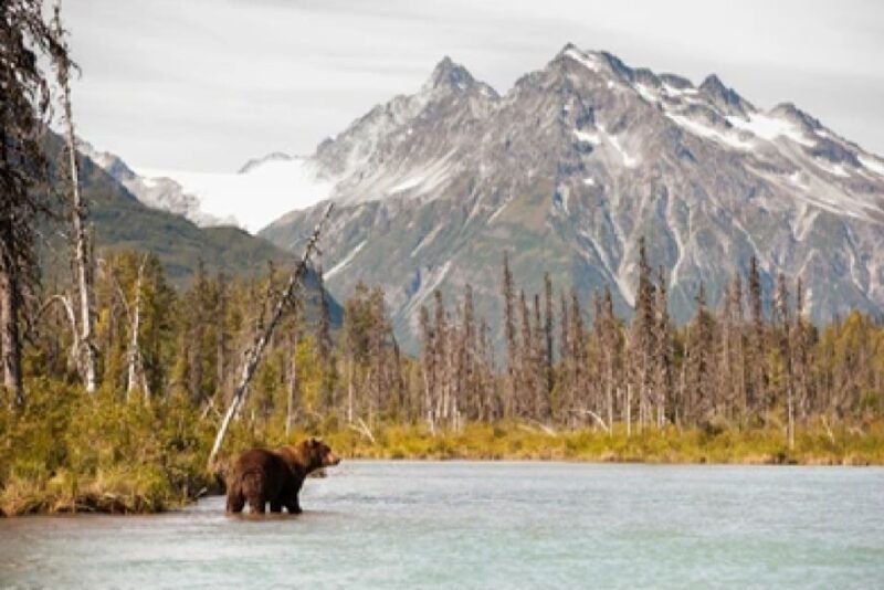anchorage-kenai-fjords-denali-national-park-5-day-tour