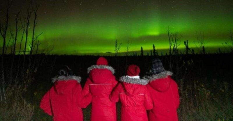 anchorage-nighttime-northern-lights-tour