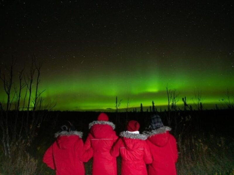 anchorage-nighttime-northern-lights-tour