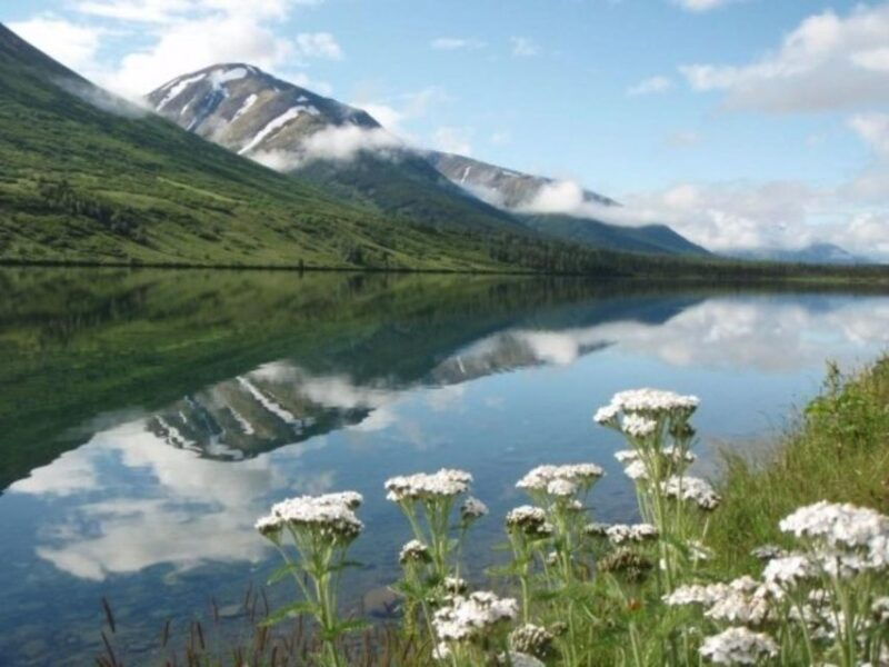 anchorage-nighttime-northern-lights-tour