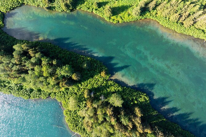 anchorage-to-whittier-wildlife-adventure