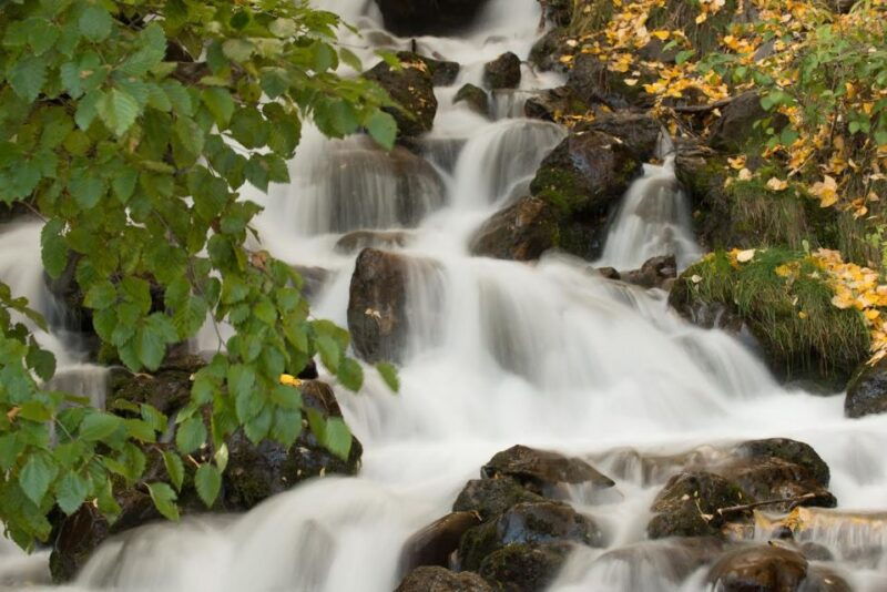 anchorage-turnagain-arm-highlights-photography-day-trip