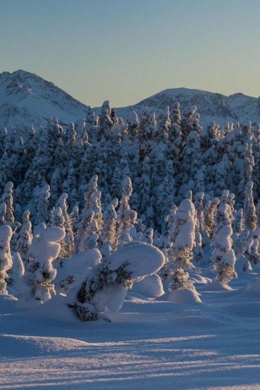 anchorage-winter-wonderland-photo-tour