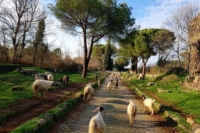 Ancient Appian Way and Roman Countryside E-Bike Tour - Final Thoughts