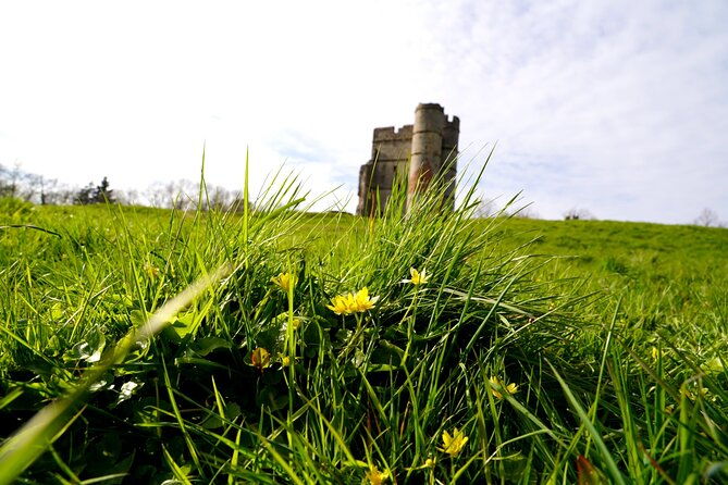 ancient-britain-sacred-forests-neolithic-burials-and-ufo-sights