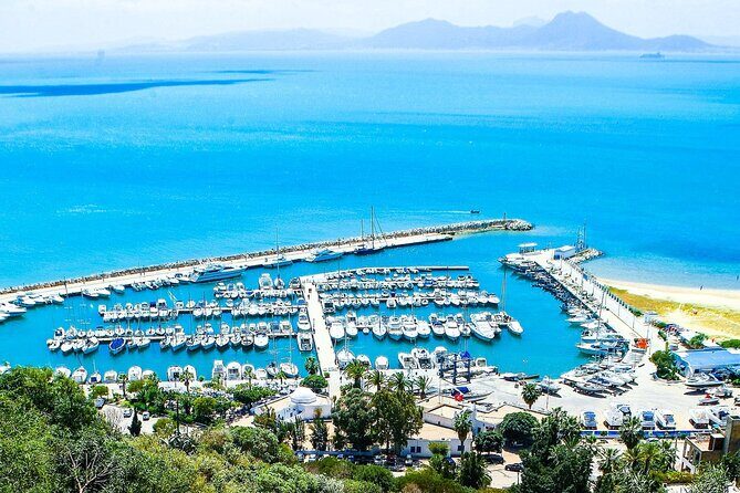 Ancient Carthage and Sidi Bou Said Half Day Tour with Lunch - Key Points