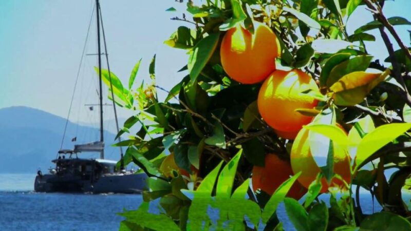 ancient-corinth-mycenae-snorkelling-in-sunken-city