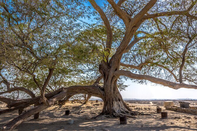 Ancient Garden of Eden - FAQ  