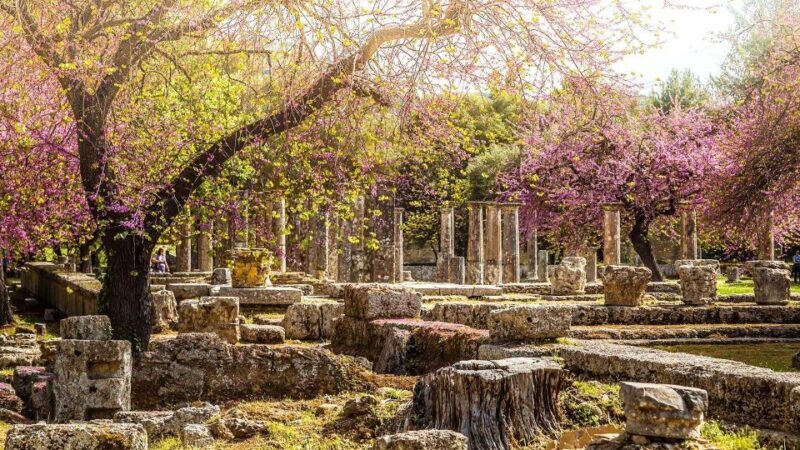 Ancient Olympia full day private tour from Athens - Practical Details and Value